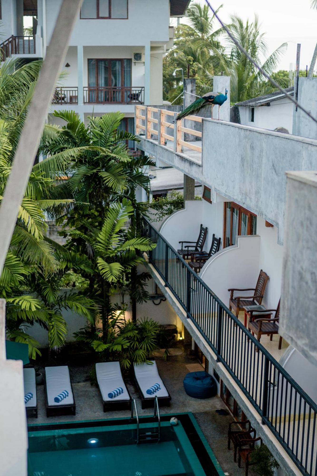 Hotel Bienvenido Cozy Madiha Matara Esterno foto